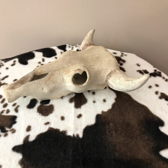 Vintage Stone Replica of a Steer Head Skull EUC - Picture 4 of 6